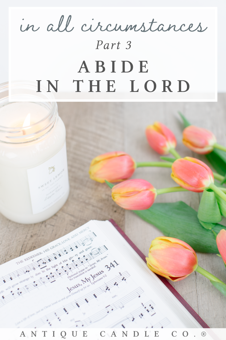 THANKING GOD for SPRING (preparation: spring flowers, candle