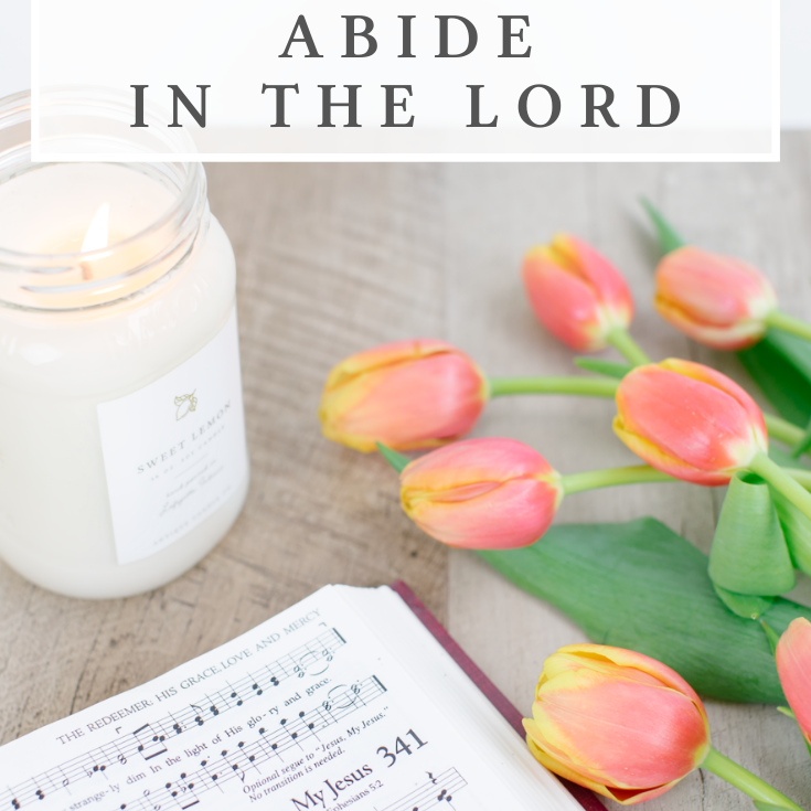 in all circumstances part 3: abide in the Lord
