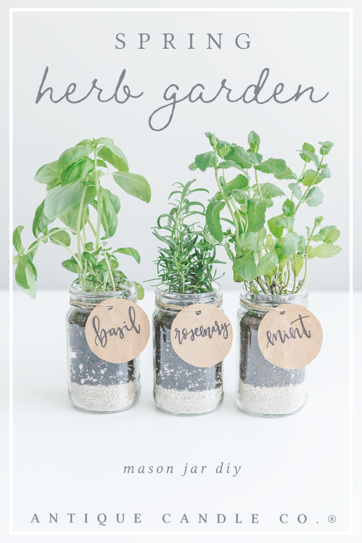 mason jar diy: spring herb garden