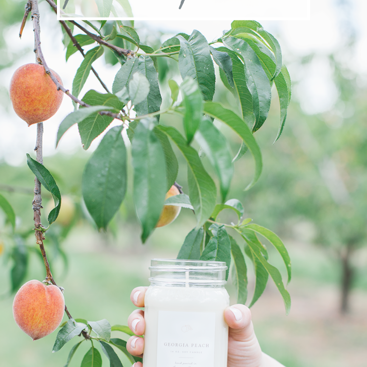 time to go peach pickin'