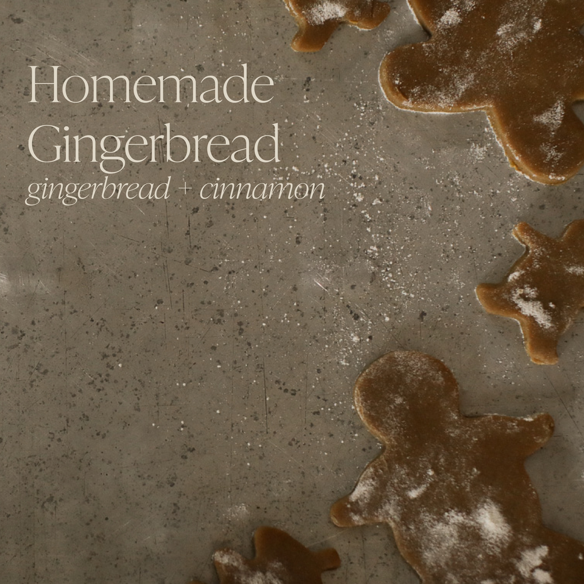 Homemade Gingerbread 16 oz candle