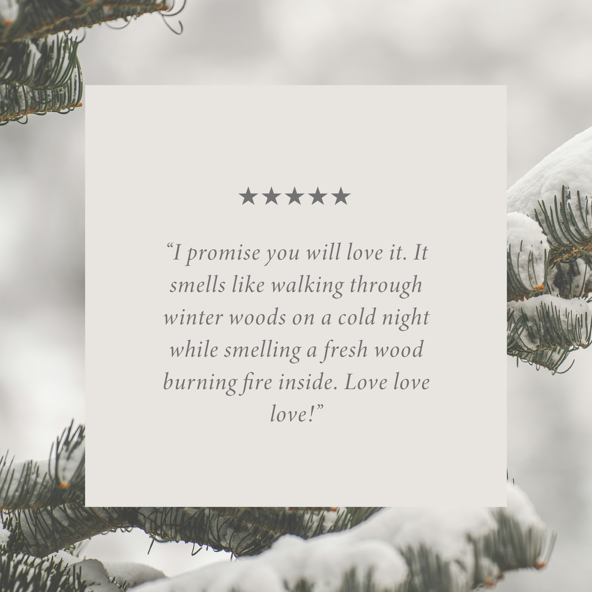 Winter Woods 16 oz candle