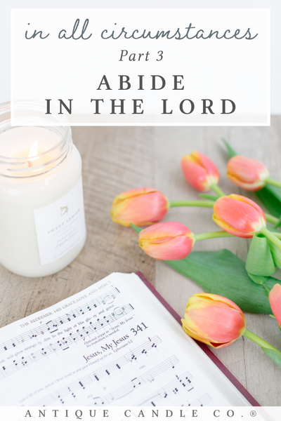 in all circumstances part 3: abide in the Lord
