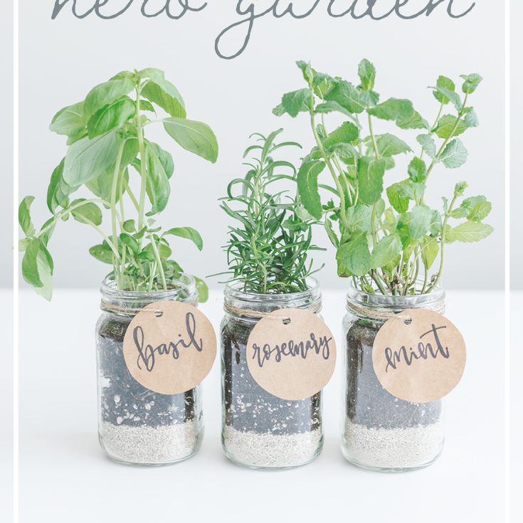 mason jar diy: spring herb garden