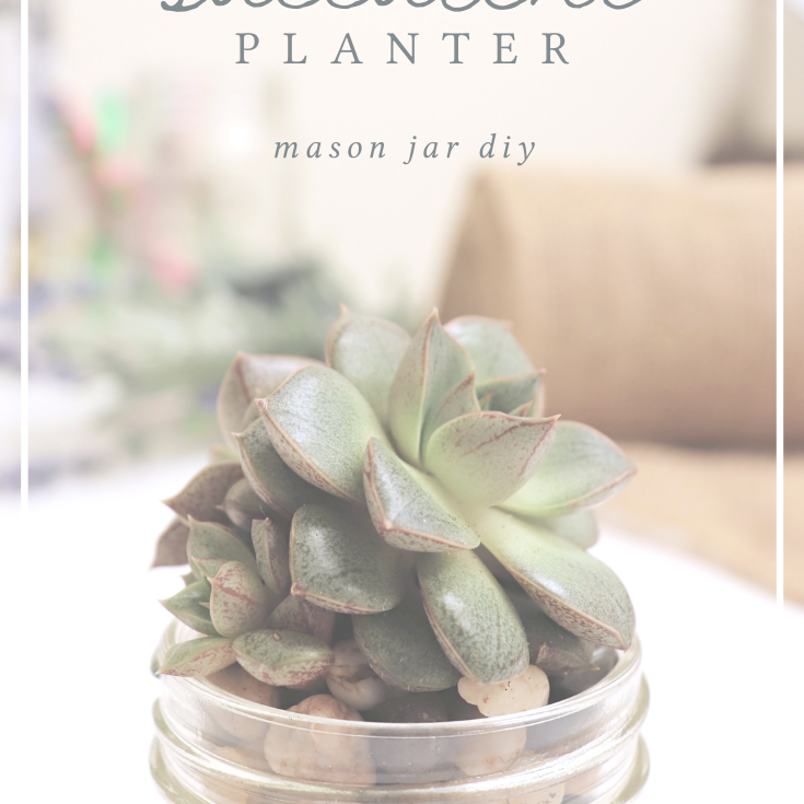 mason jar diy: mini succulent planter