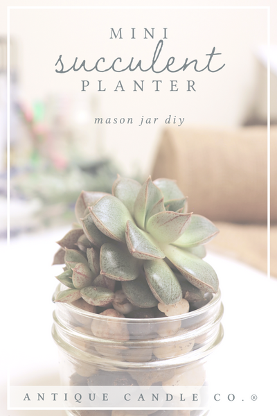 mason jar diy: mini succulent planter