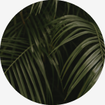 Coastal Linen