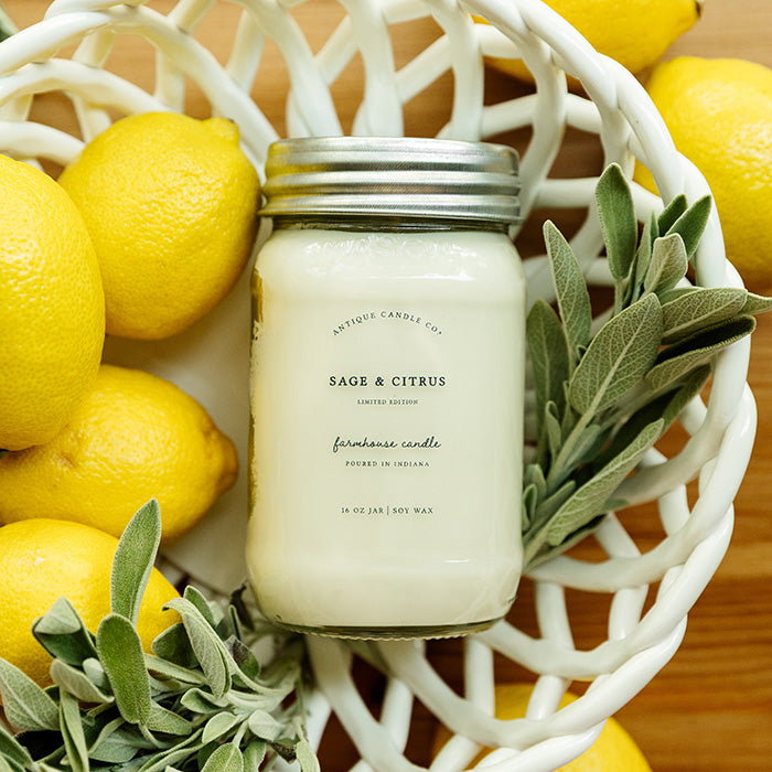 Sage & Citrus 16 oz candle