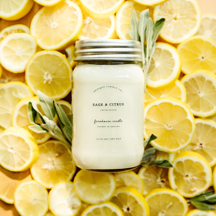 Sage & Citrus 16 oz candle