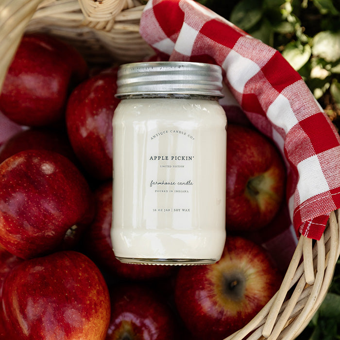 Apple Pickin' 16 oz candle