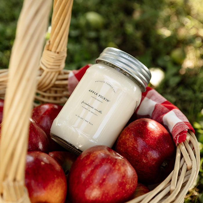 Apple Pickin' 16 oz candle