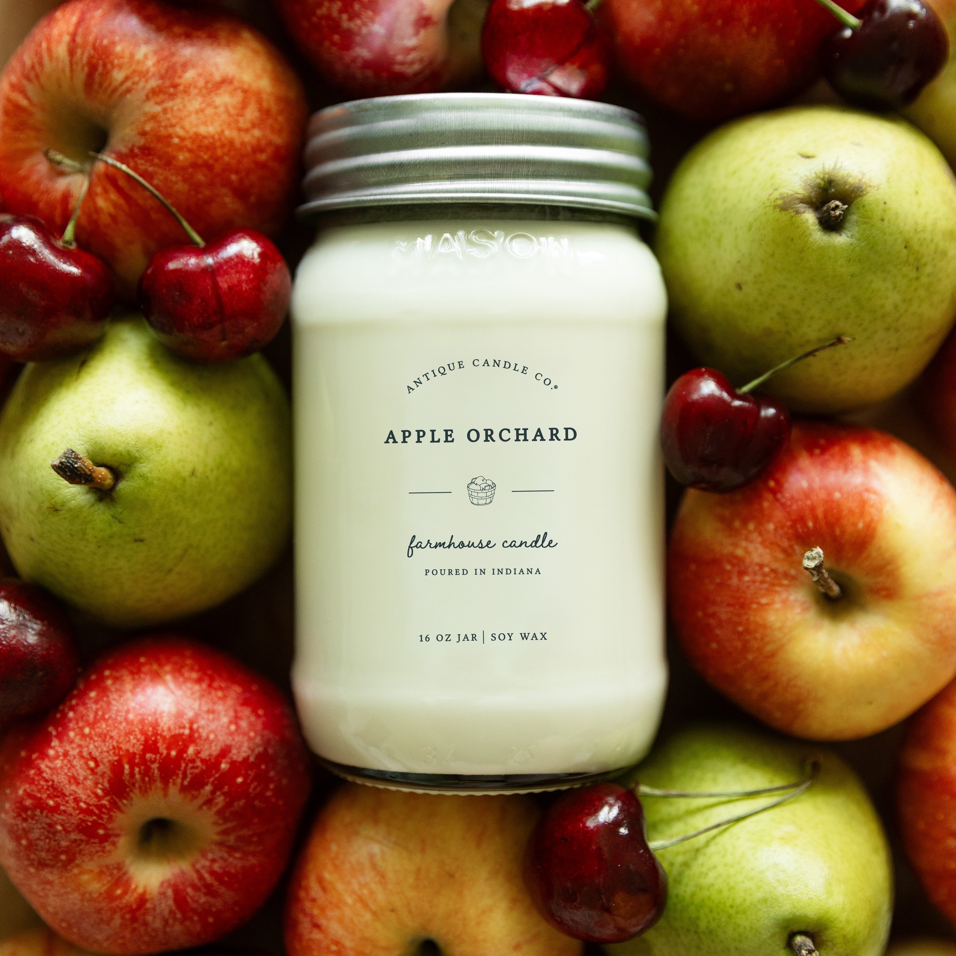 Apple Orchard 16 oz candle