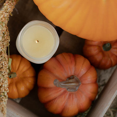 Pumpkin No. 1 Bundle