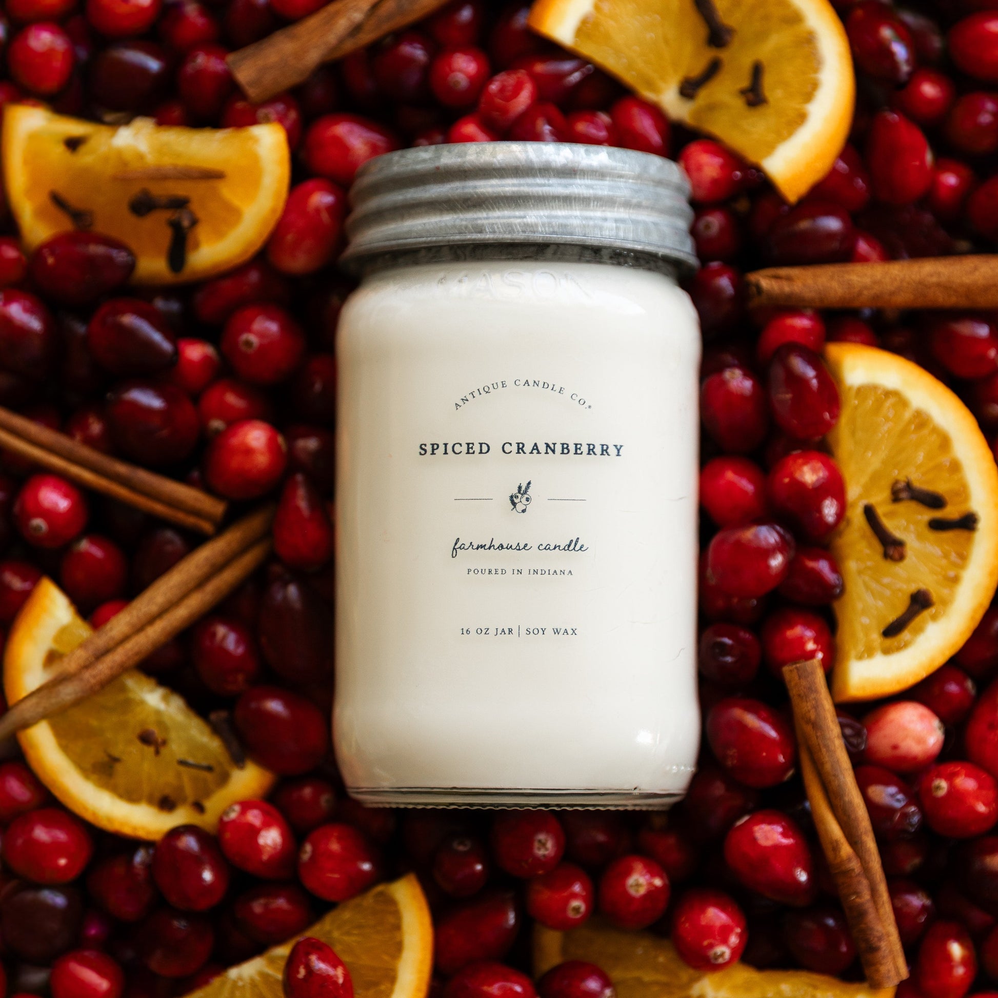 Spiced Cranberry 16 oz candle