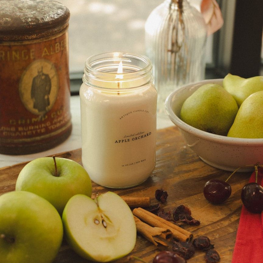 Apple Orchard 16 oz candle