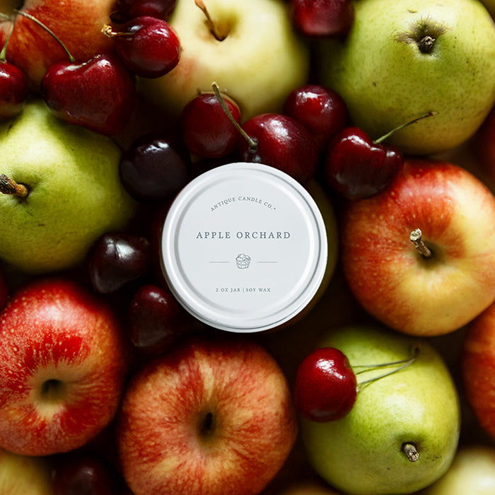 Apple Orchard
