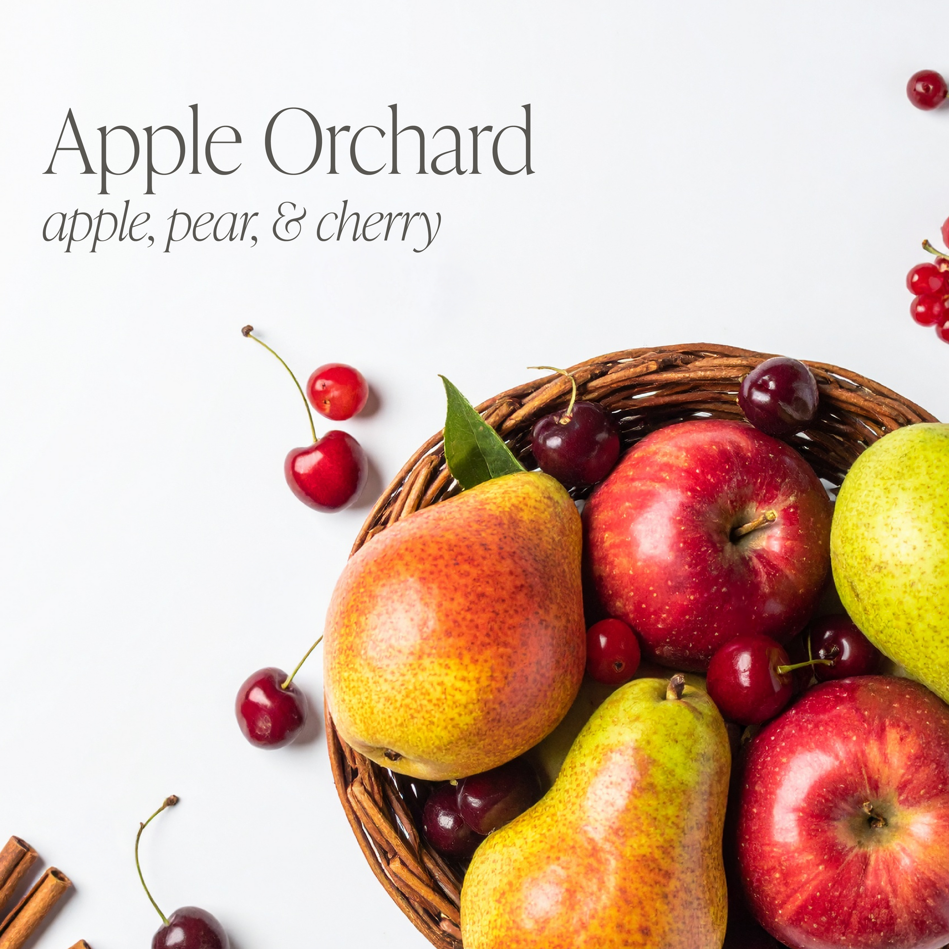 Apple Bundle of Three