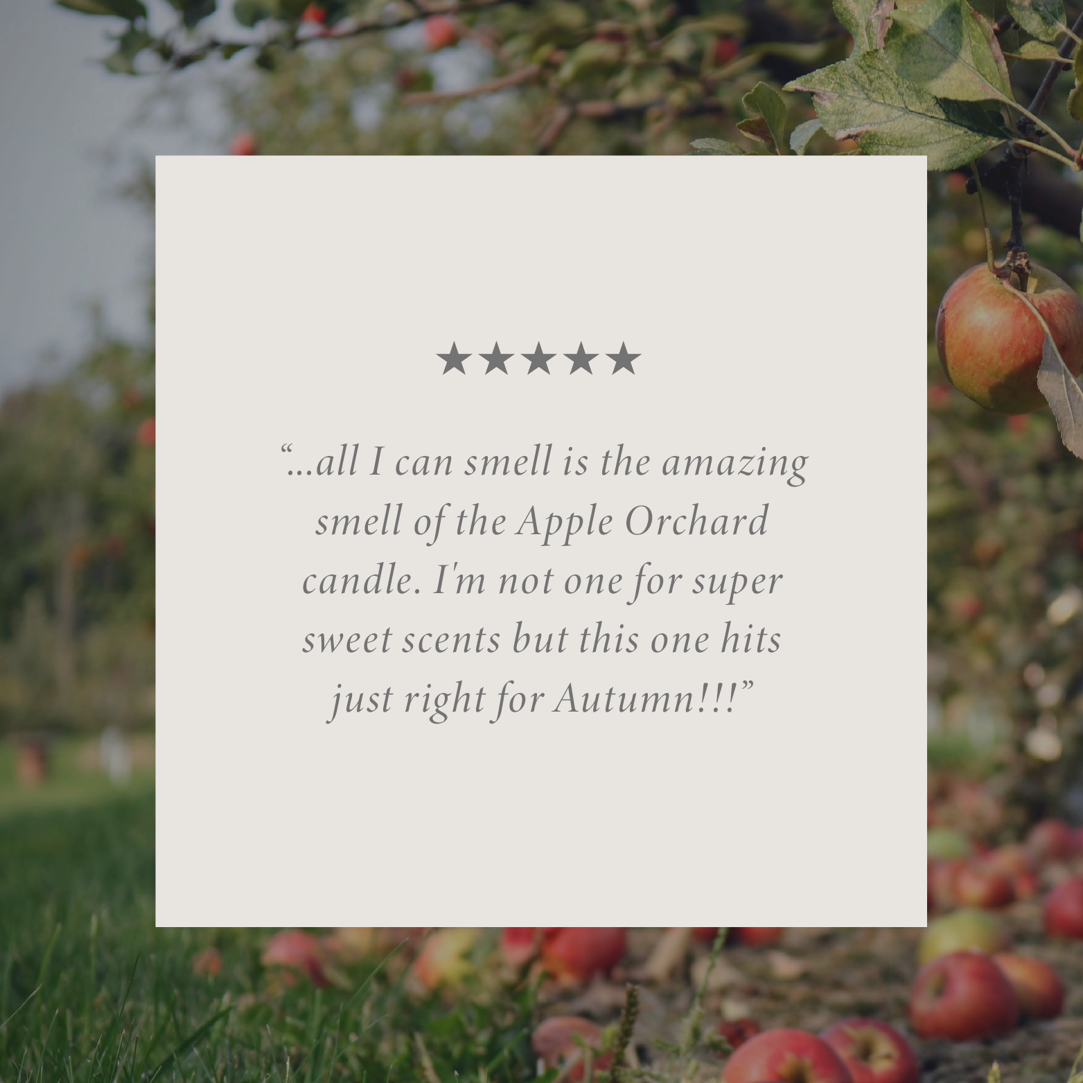 Apple Orchard Bundle