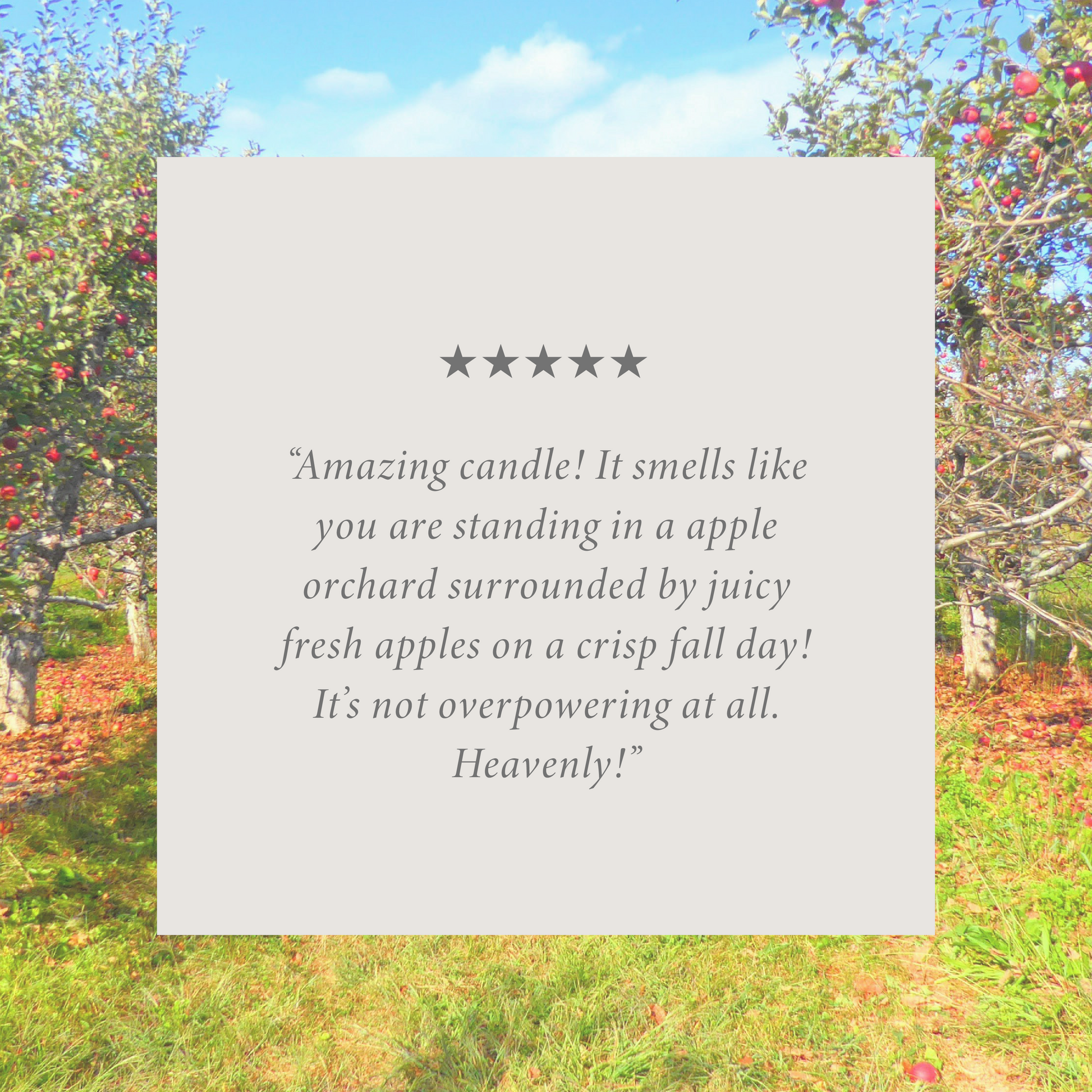 Apple Bundle of Three