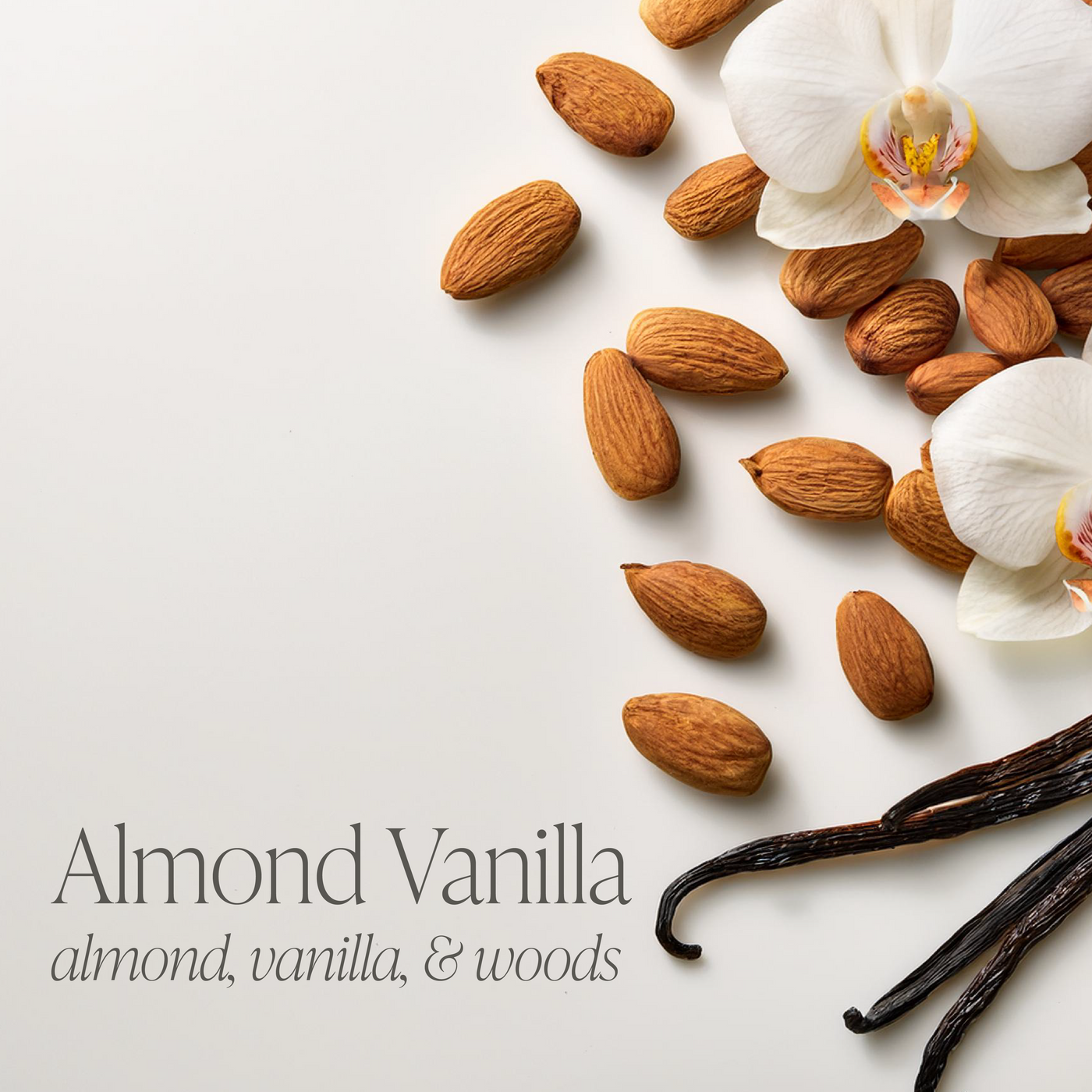 Almond Vanilla & Raspberry Vanilla Bundle