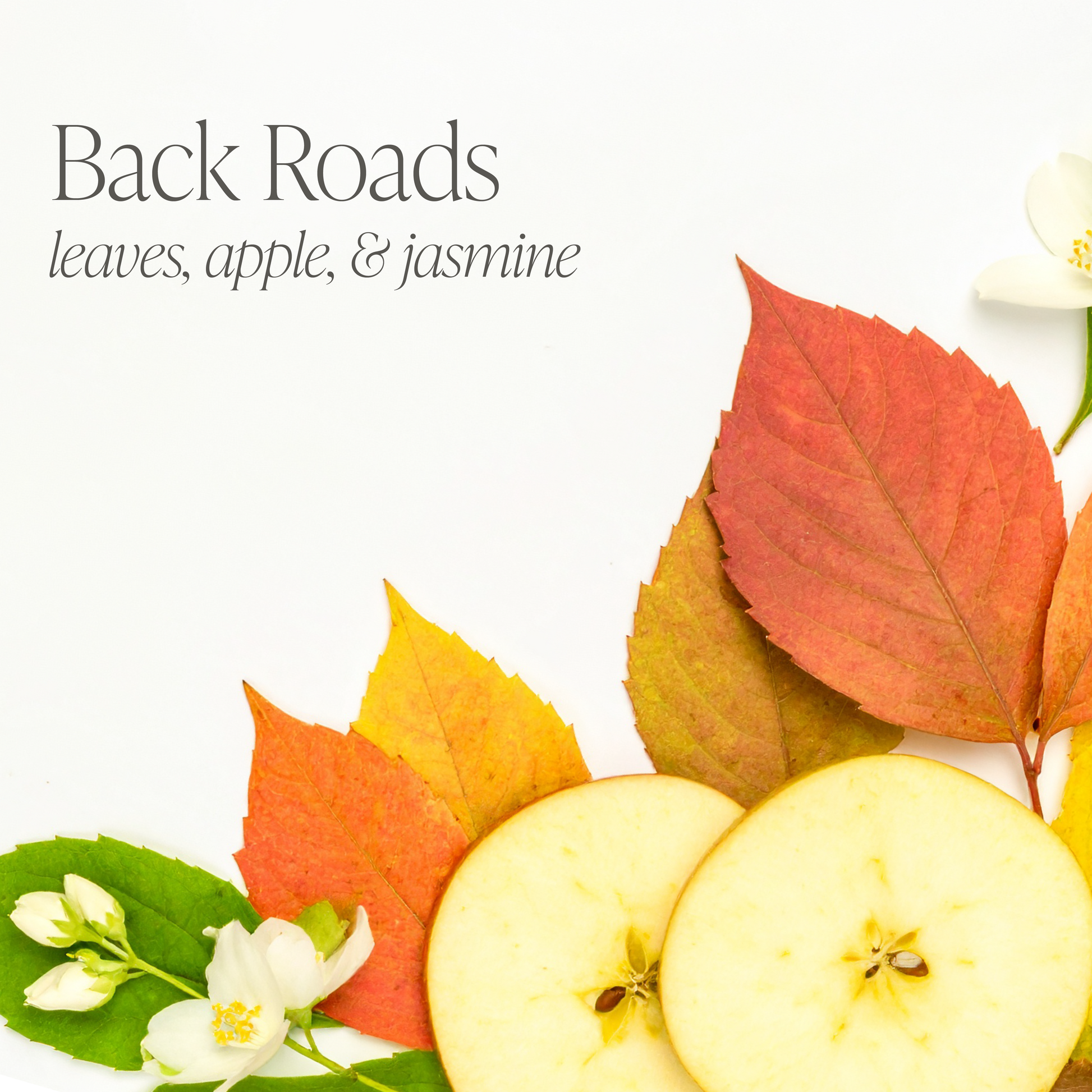 Back Roads 16 oz candle