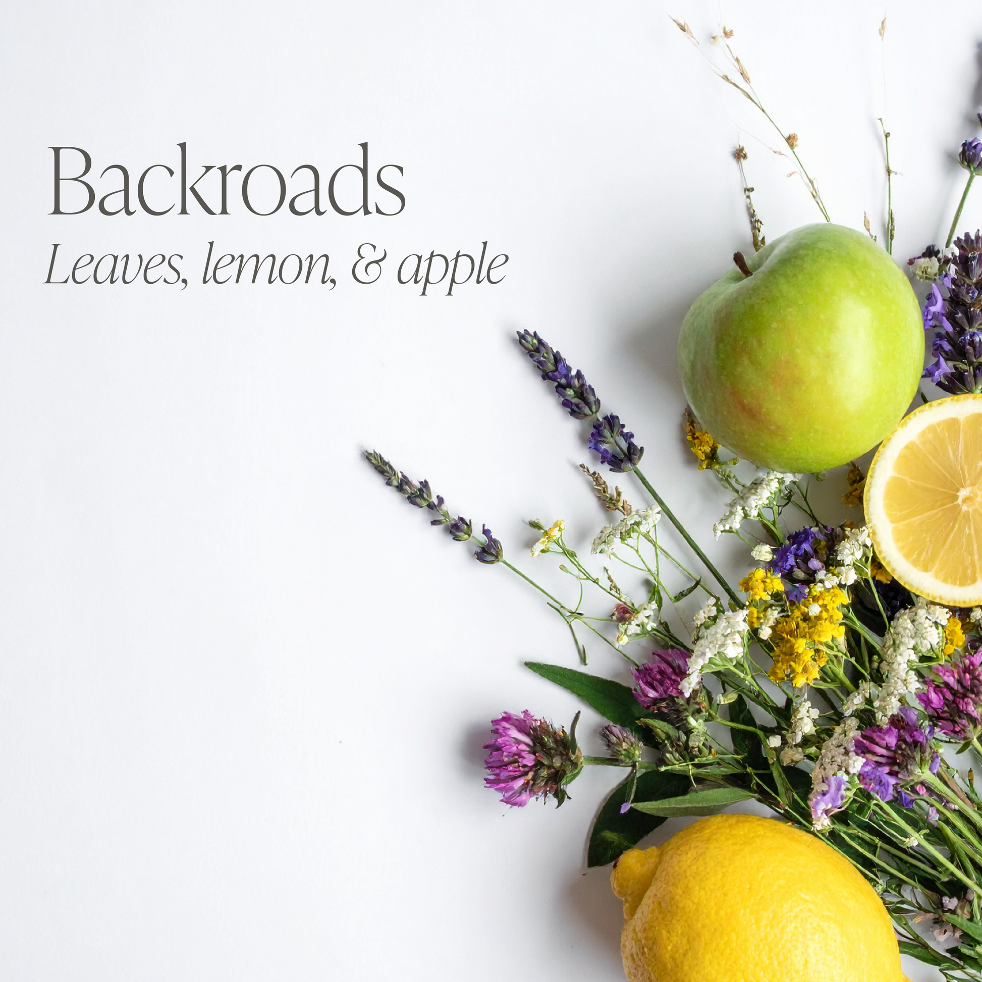 Back Roads 16 oz candle