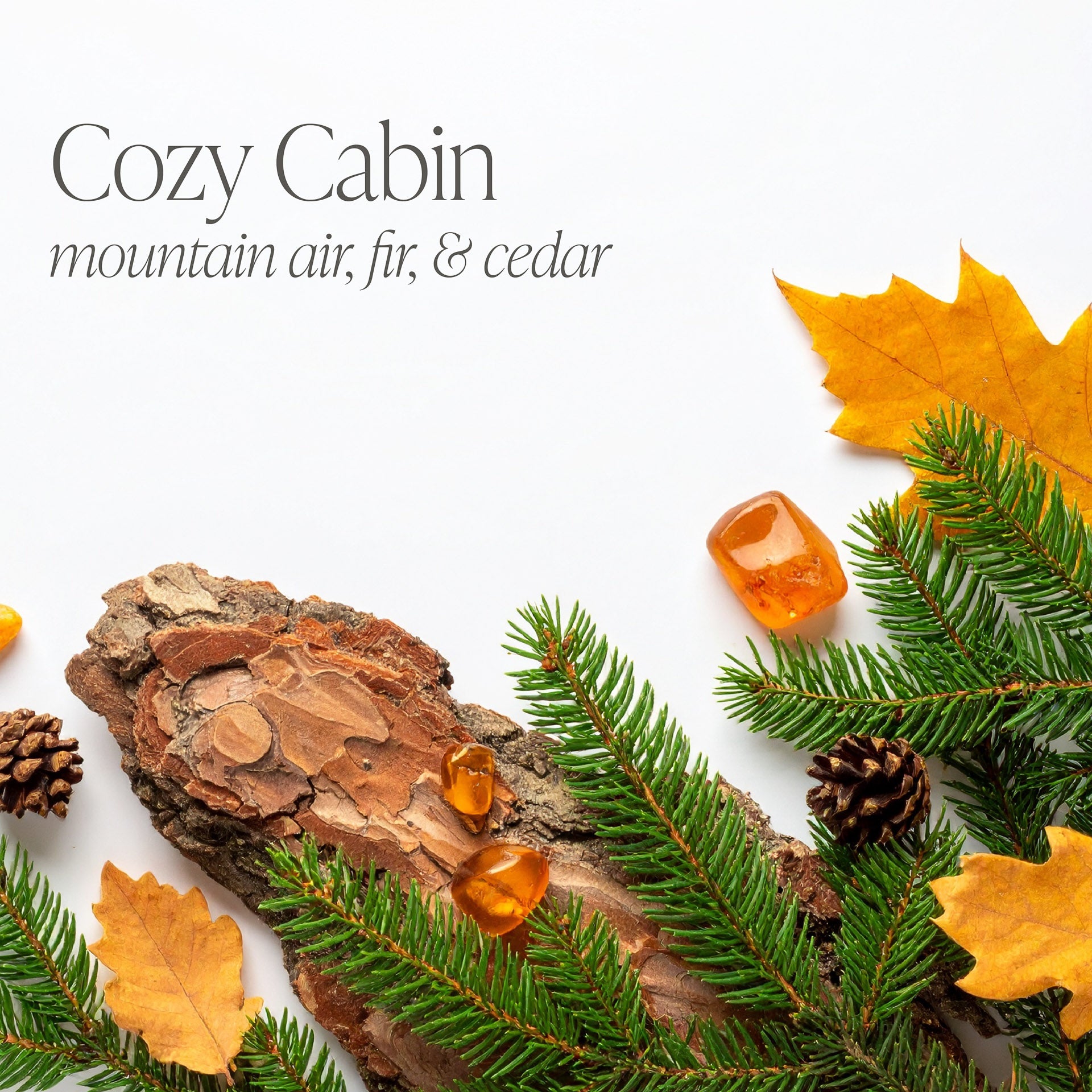 Cozy Cabin 16 oz candle