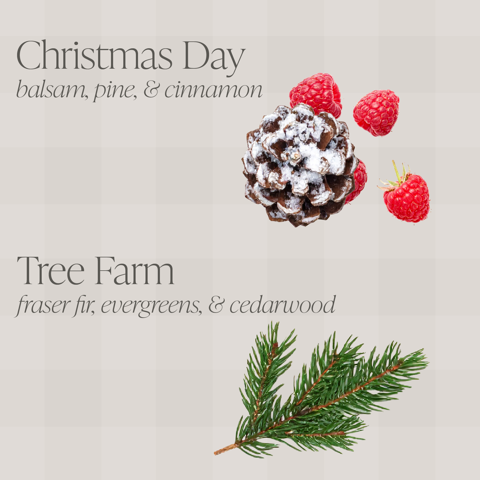 Christmas Day & Tree Farm Bundle