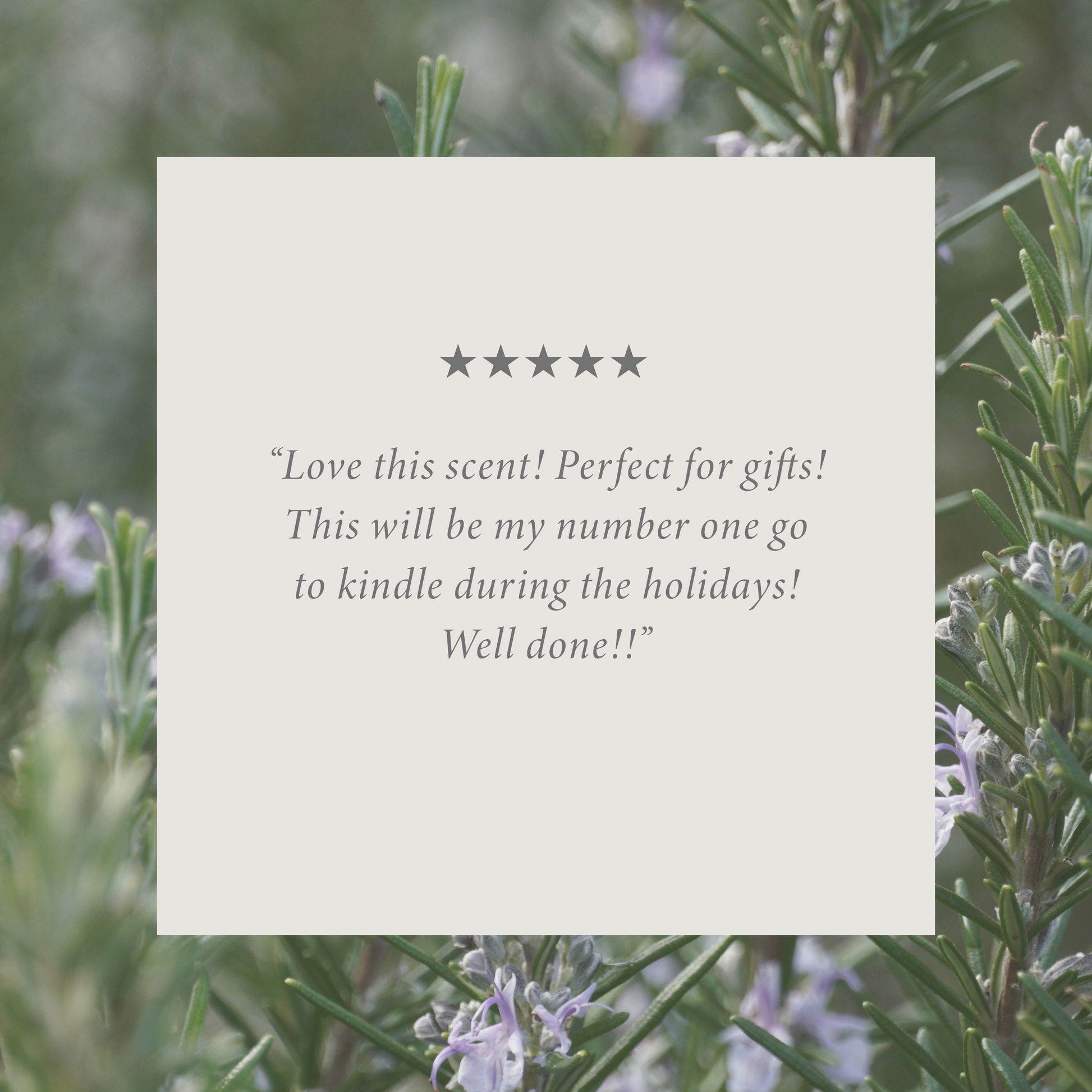 Country Pine by Allie Boss Bundle