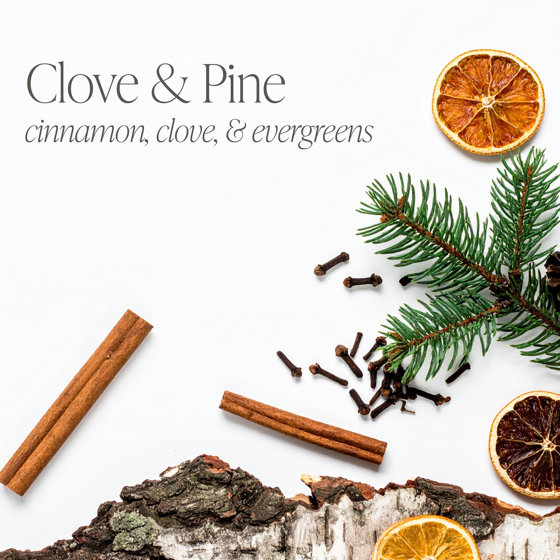 Clove & Pine 16 oz candle