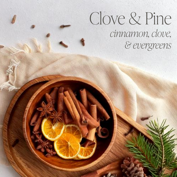 Clove & Pine 16 oz candle