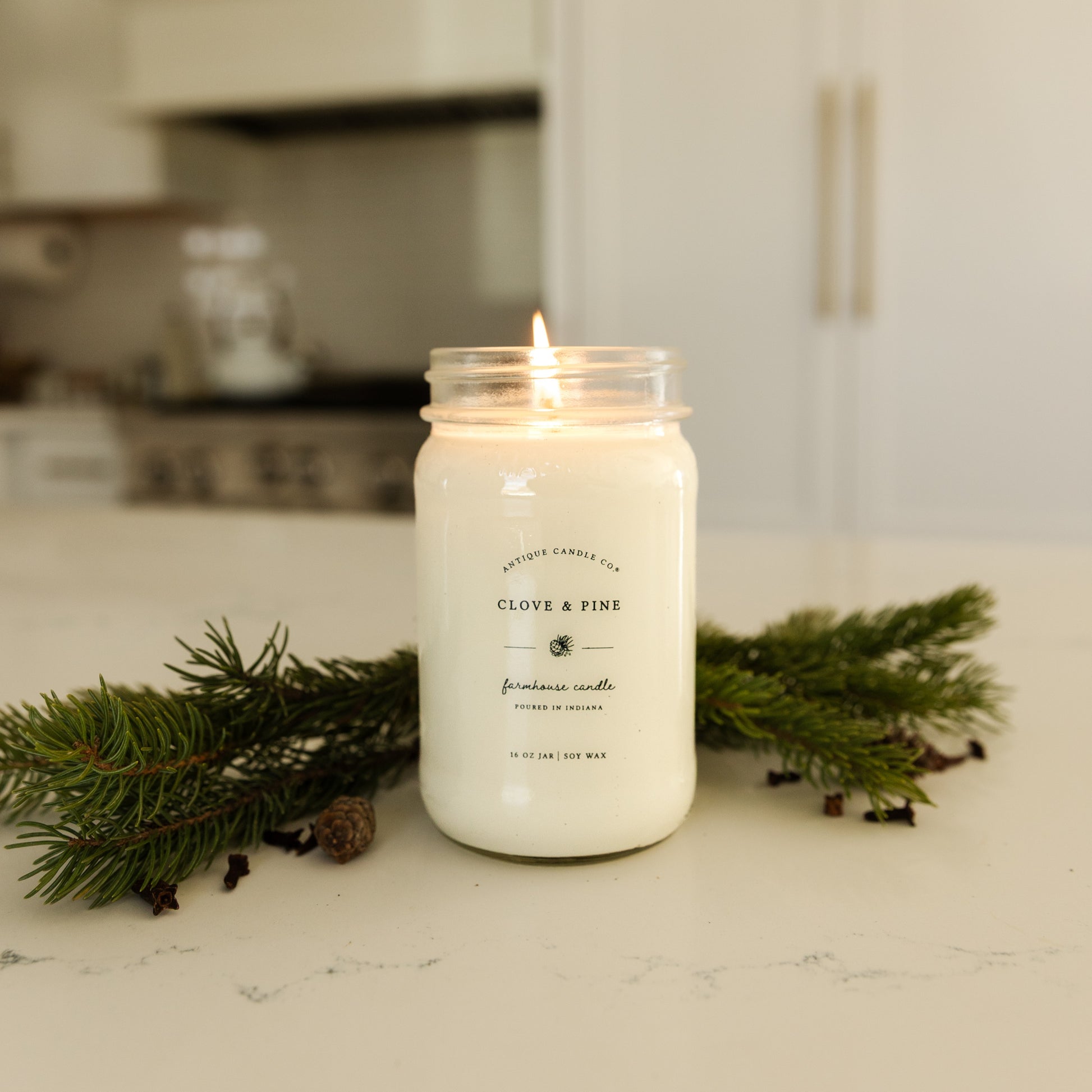 Clove & Pine 16 oz candle