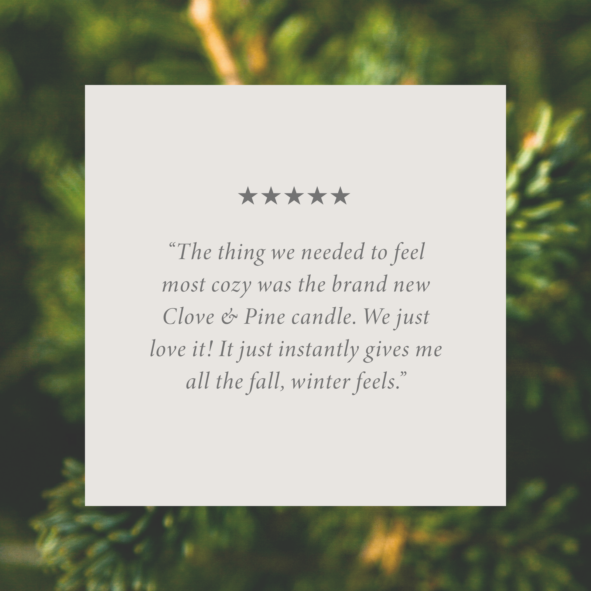 Clove & Pine Bundle