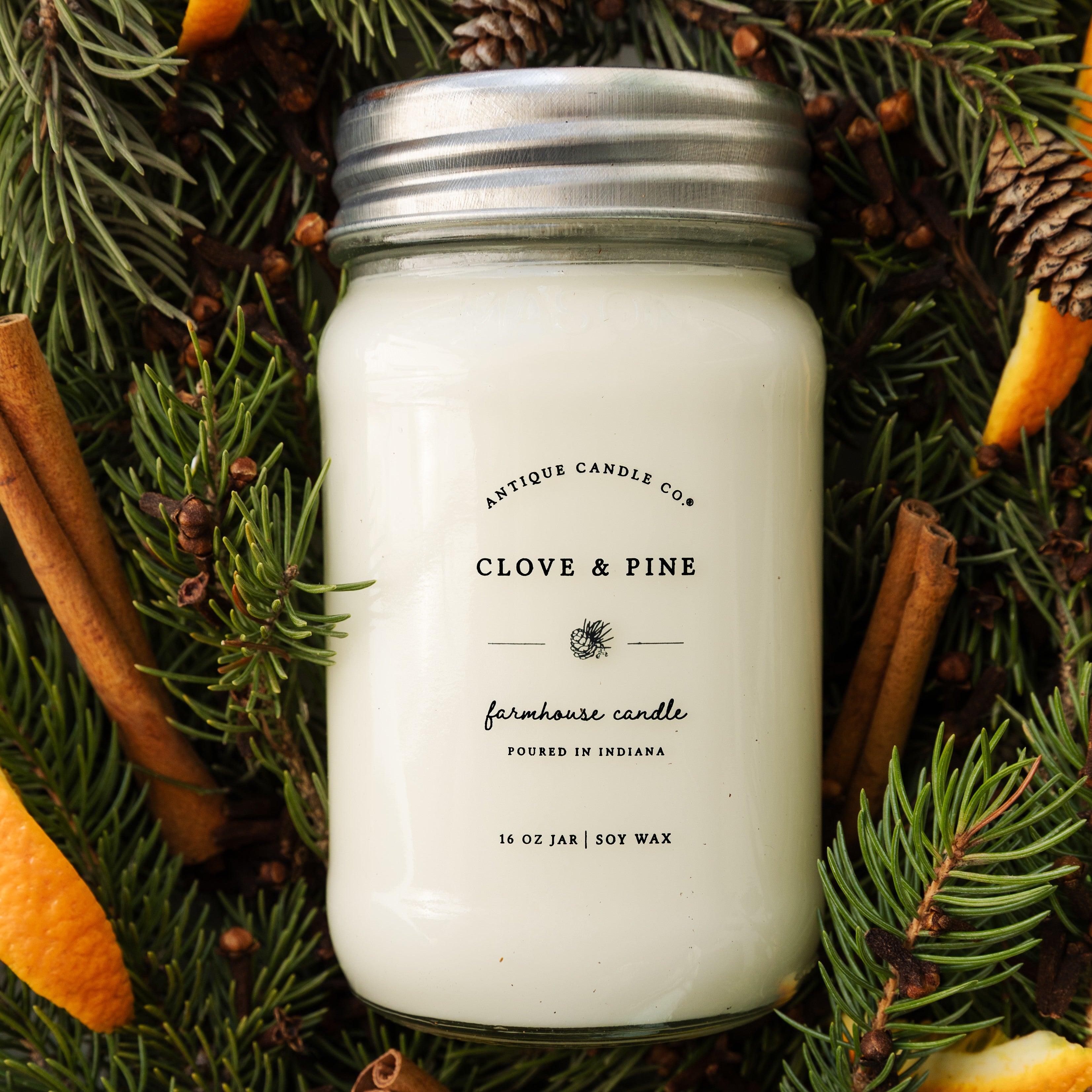 Clove & Pine 16 oz candle