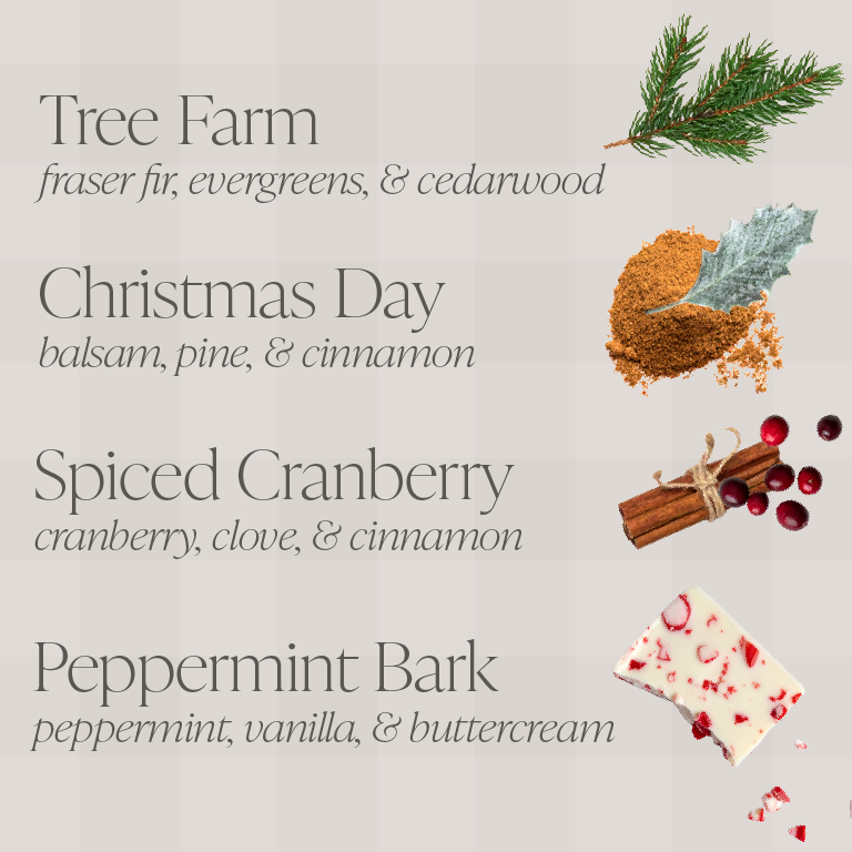 Christmas Bundle of Eight