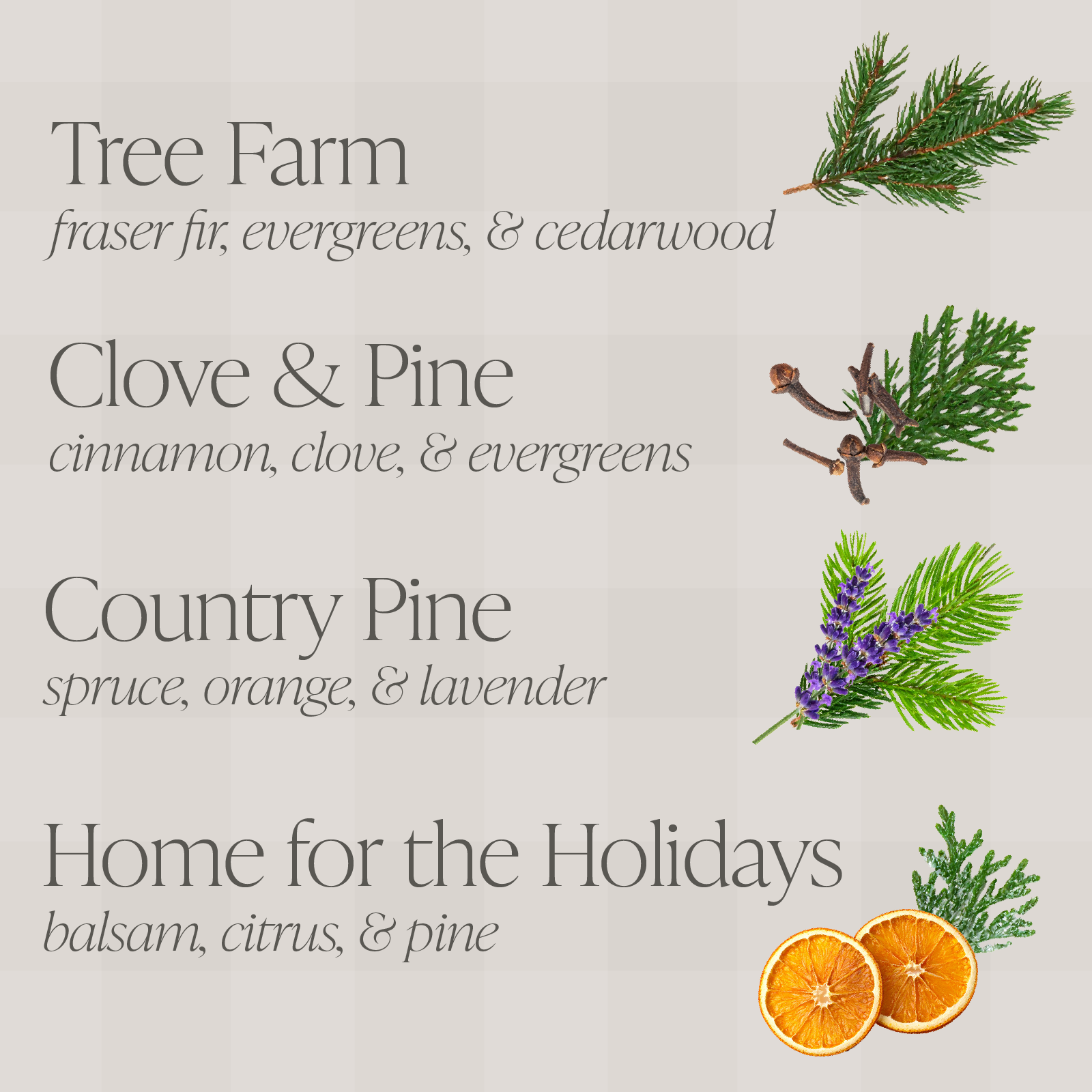 Evergreen Bundle of Four