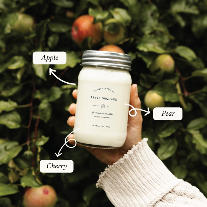 Apple Orchard