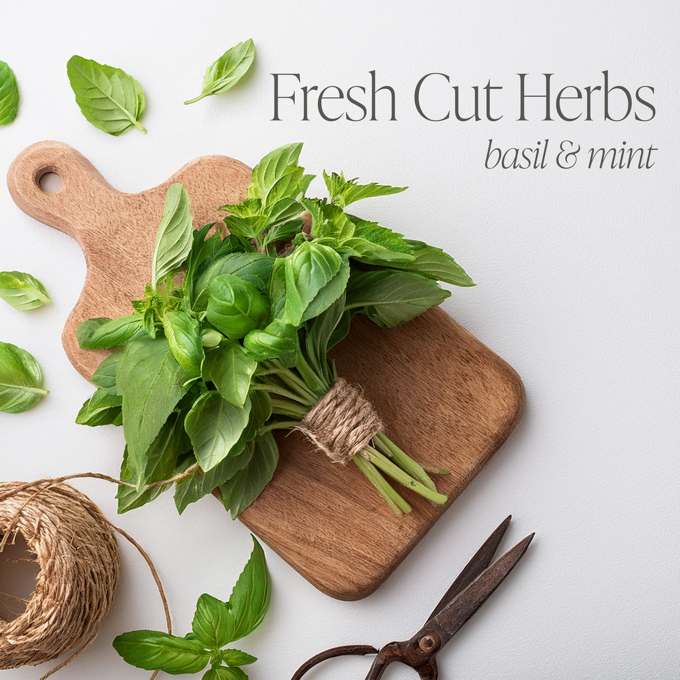 Fresh Cut Herbs 16 oz candle