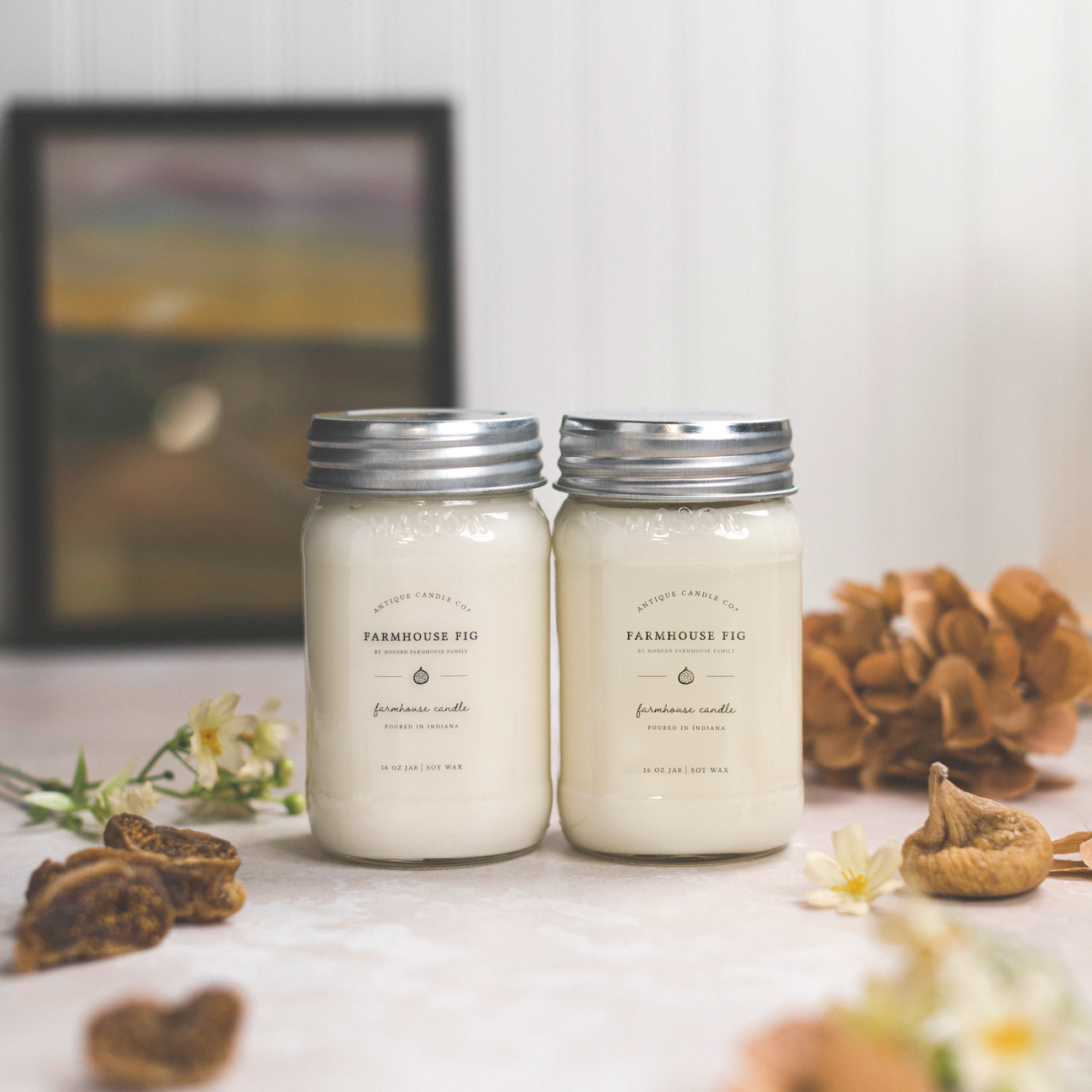 Farmhouse Fig by Modern Farmhouse Family Bundle