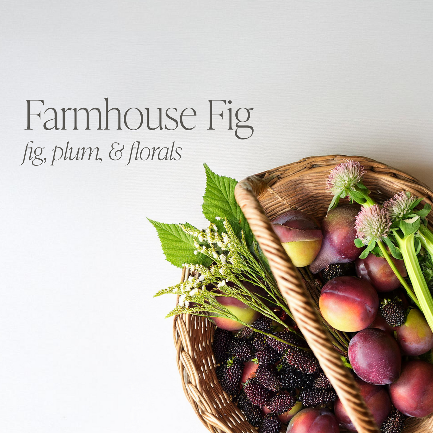 Farmhouse Fig by Modern Farmhouse Family Bundle