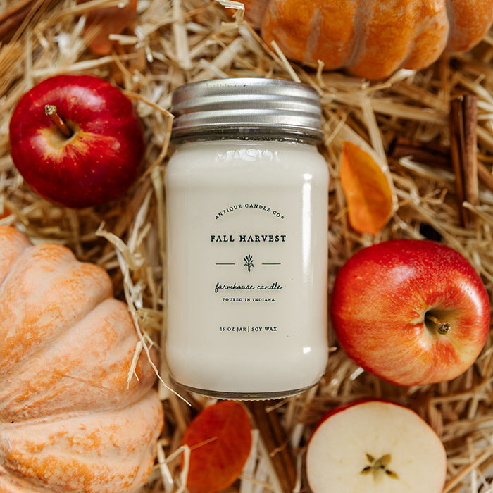 Fall Bundle of Eight