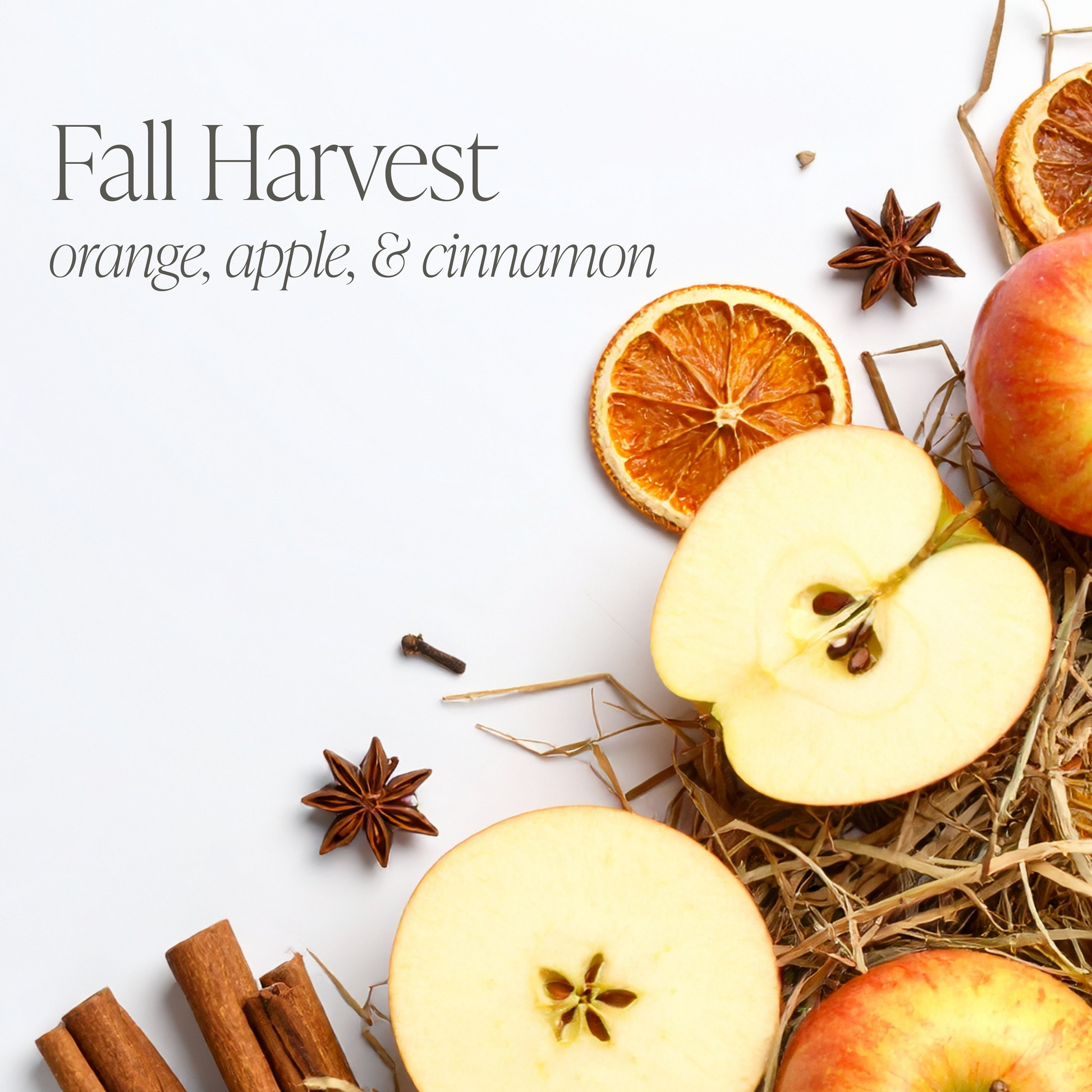Fall Bundle of Four