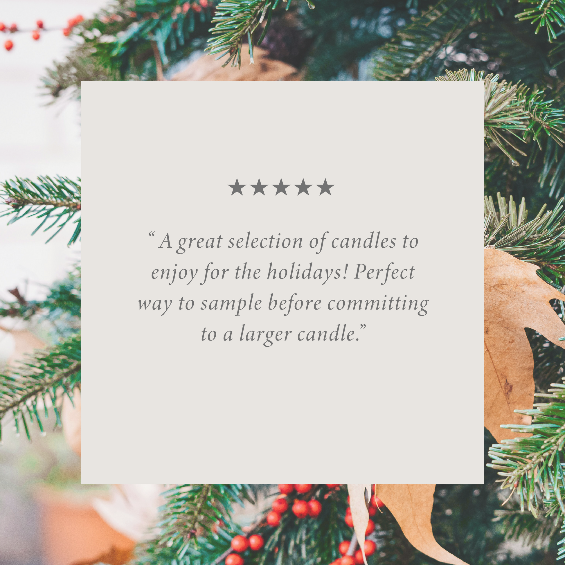 Fall & Christmas Sample Pack