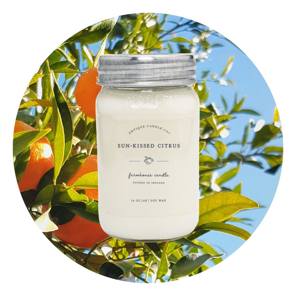 Sun-Kissed Citrus