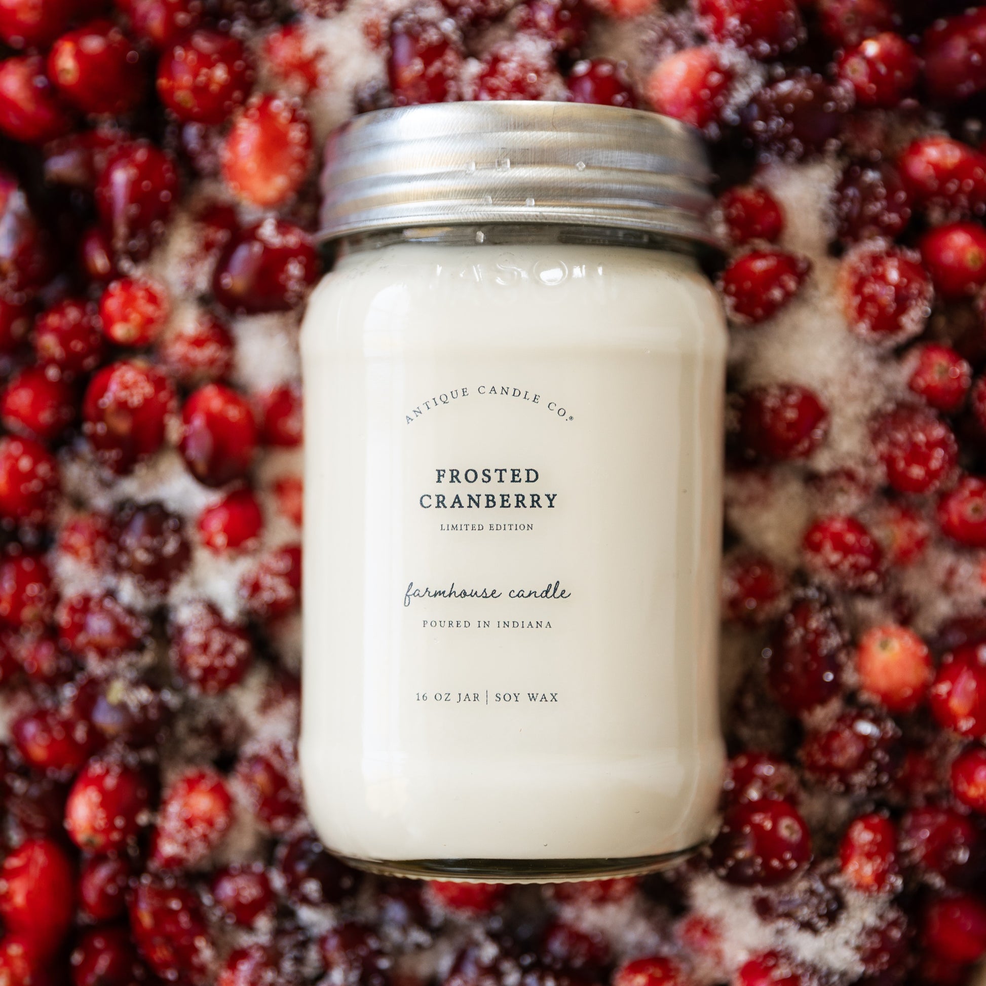 Frosted Cranberry 16 oz candle