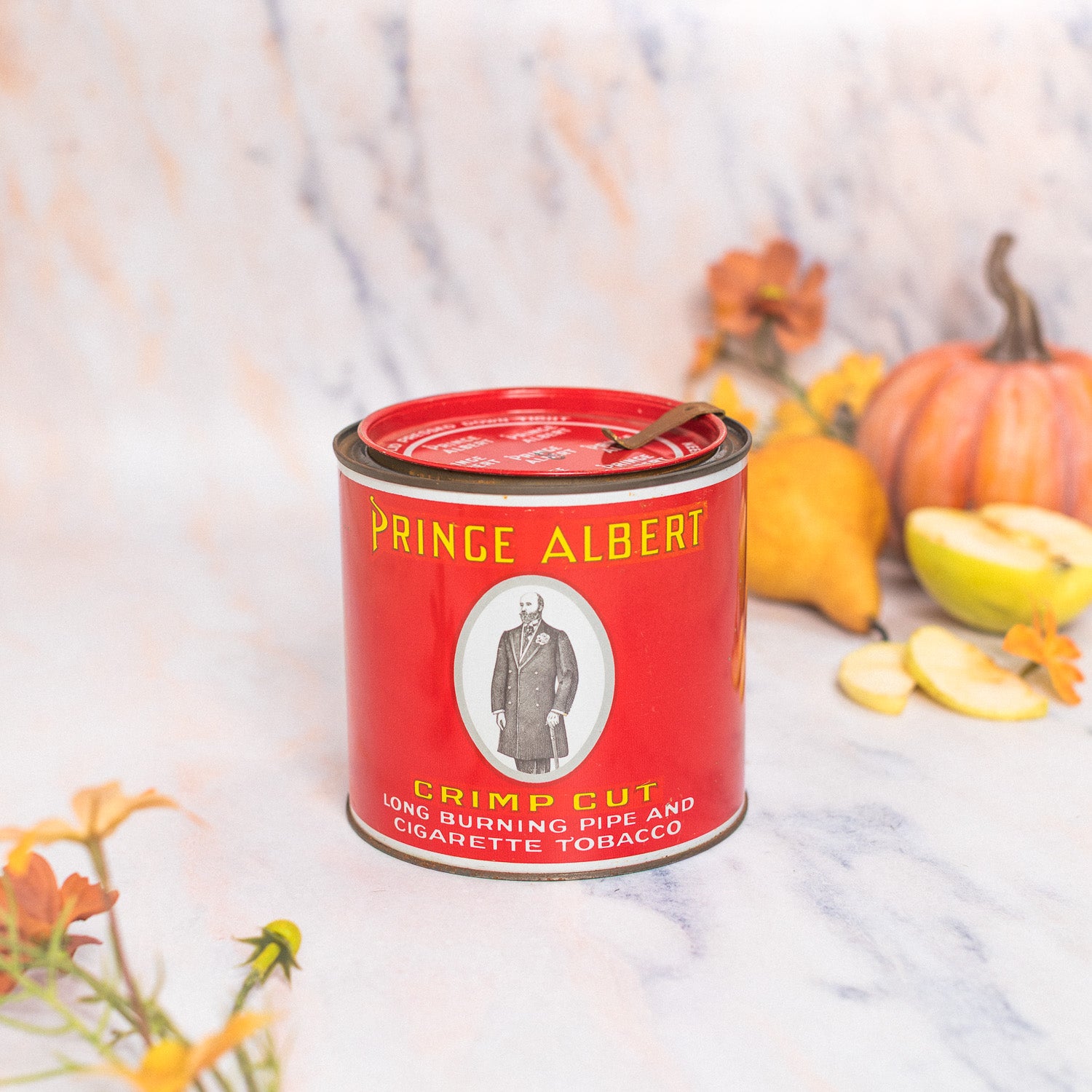 Cozy Cabin - Prince Albert Tobacco Tin