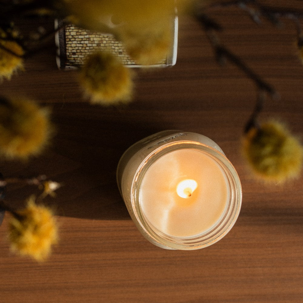 Pumpkin & Pine 16 oz candle