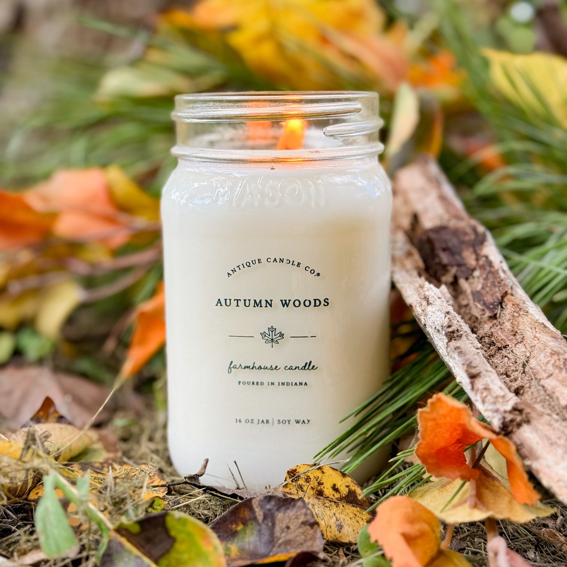 Autumn Woods 16 oz candle