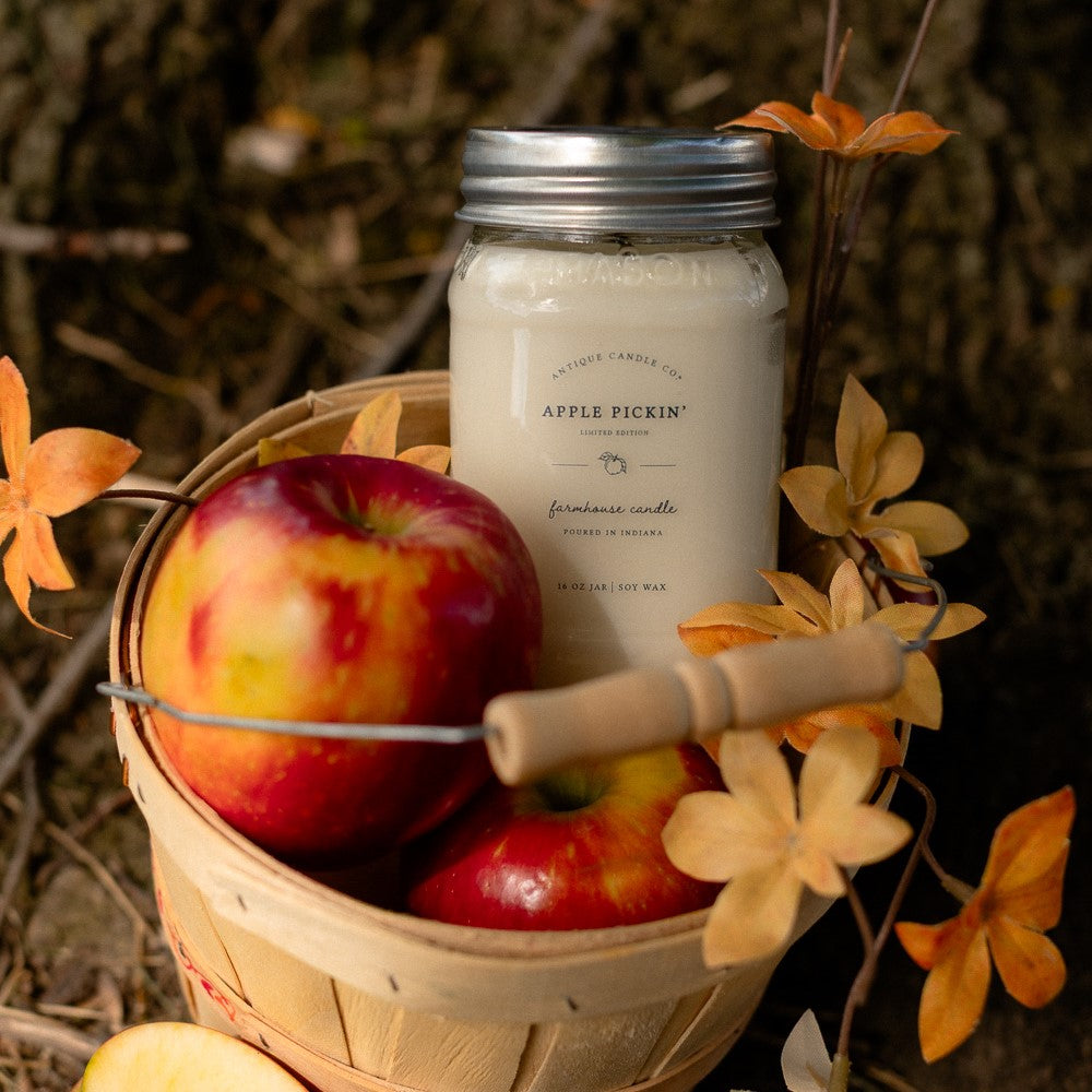 Apple Pickin' 16 oz candle