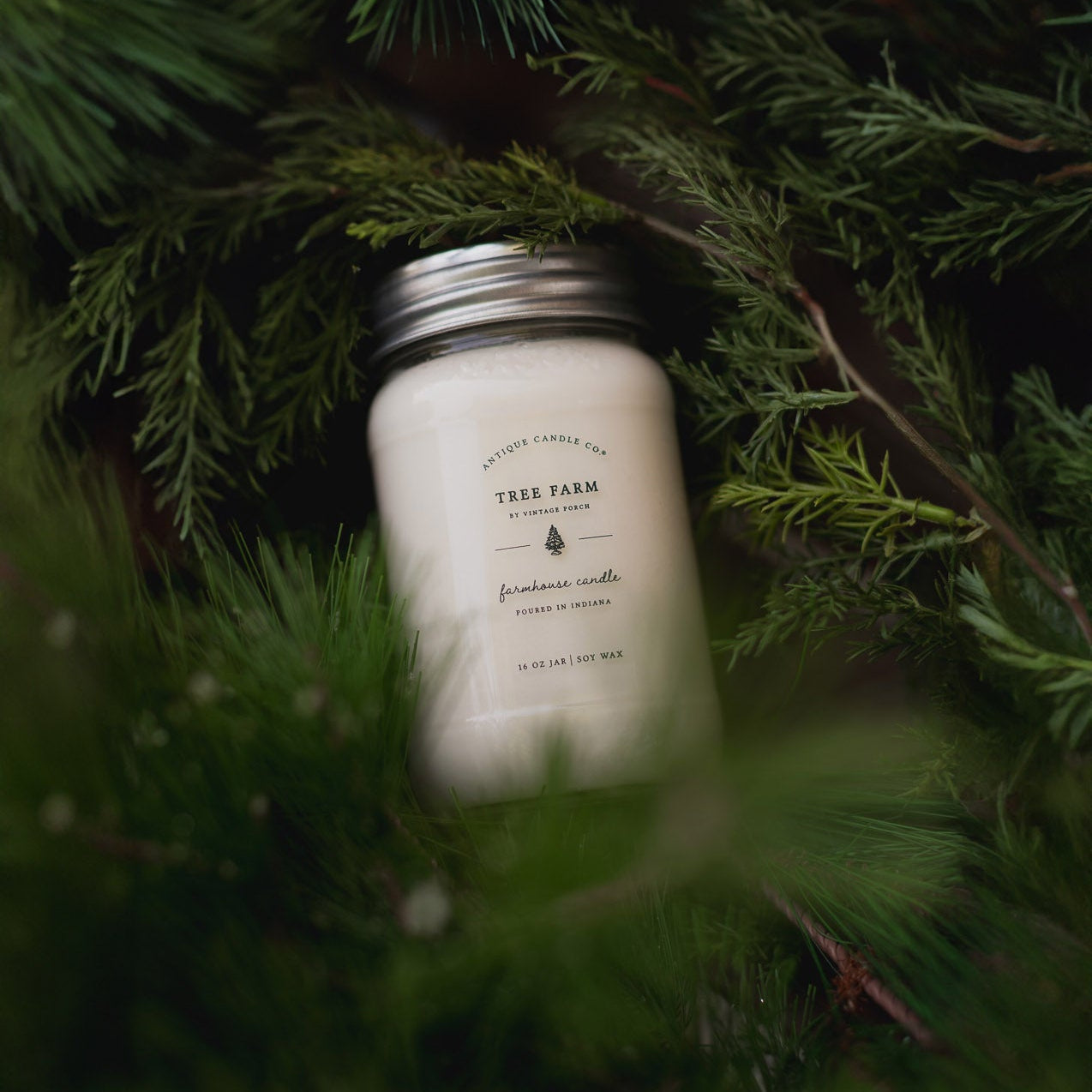 Tree Farm Bundle